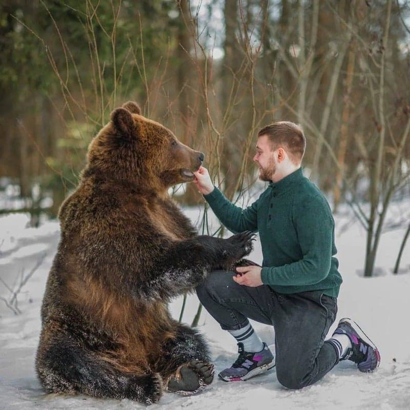 تصوير مع الدب الصغير "توم"